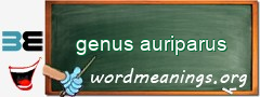 WordMeaning blackboard for genus auriparus